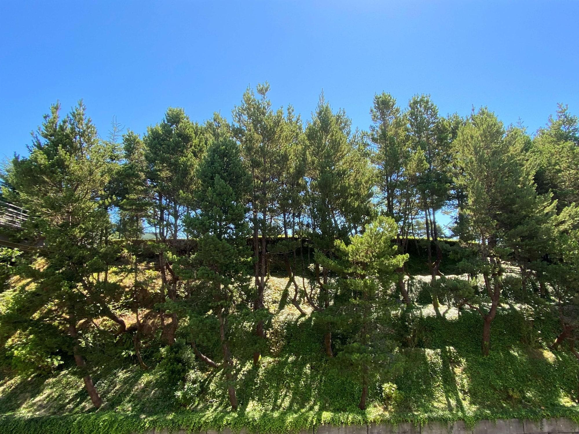 Western Agate Locanda 3*